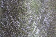 Copcut fibreglass roof work